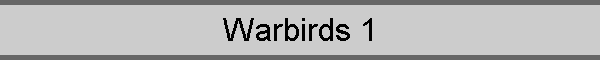 Warbirds 1
