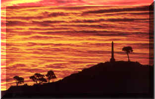 sunsetonetreehill.jpg (1004114 bytes)