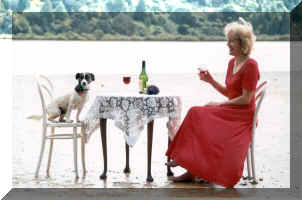 tabledog.jpg (822183 bytes)
